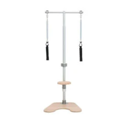 BASI Systems Ped And Pull