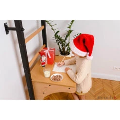 BenchK Series 2 Kids 212B+A076 Wall Bars -Fitness Store benchk 212b a076 4