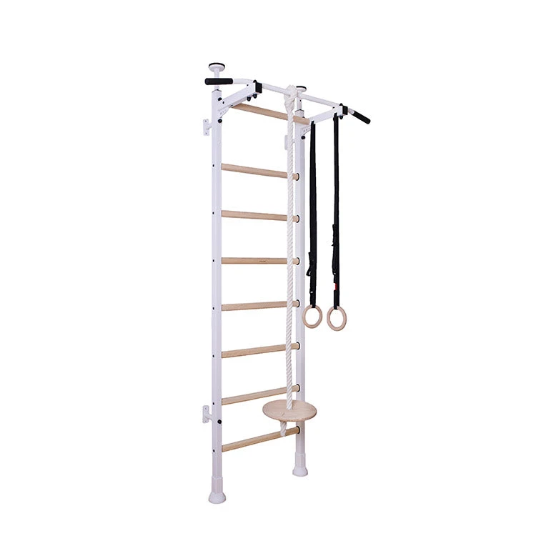 BenchK Series 5 521W+A204 Wall Bars With Gymnastics Accessories 1 BenchK Series 5 521W+A204 Wall Bars With Gymnastics Accessories