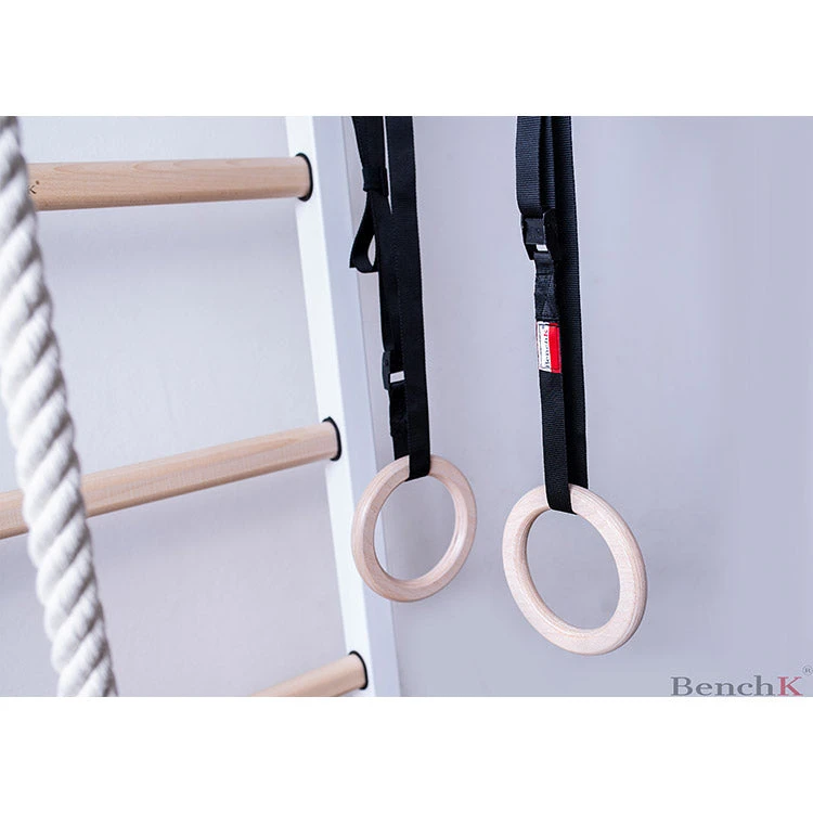 BenchK Series 5 521W+A204 Wall Bars With Gymnastics Accessories 10 BenchK Series 5 521W+A204 Wall Bars With Gymnastics Accessories - Image 10